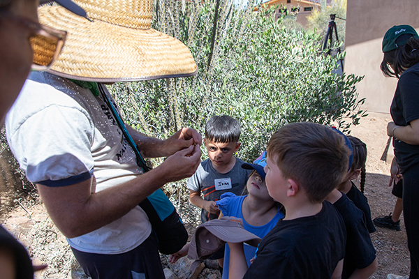 A man in a straw hat shows students a plant